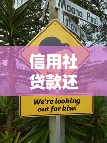 信用社贷款还不上怎么办：信用社贷款逾期怎么办