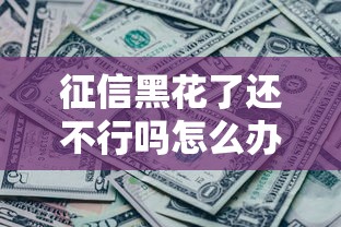 征信黑花了还不行吗怎么办，例举5个2025最新网贷平台推荐