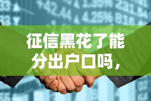 征信黑花了能分出户口吗，同城五个2025最新网贷平台额度高好下款的