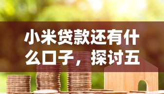 小米贷款还有什么口子，探讨五款2025最新花户必下款的口子
