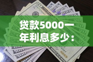 贷款5000一年利息多少：五千元借贷一年需支付多少利息