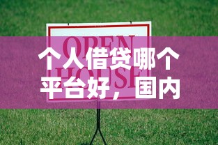 个人借贷哪个平台好，国内五大2025最新马云贷款平台