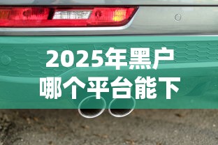 2025年黑户哪个平台能下款啊，国内五大2025最新车抵押贷款平台好