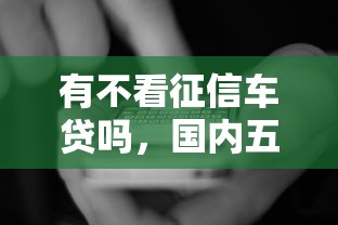 有不看征信车贷吗，国内五大2025最新2025年12月网贷平台