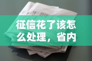 征信花了该怎么处理，省内五个2025最新正规汽车抵押贷款平台