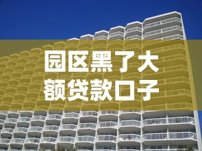 园区黑了大额贷款口子，五大2025最新好口子
