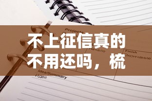 不上征信真的不用还吗，梳理5个2025最新网贷平台排行