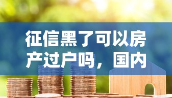 征信黑了可以房产过户吗，国内五大2025最新16岁可以贷款的平台