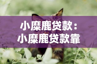 小糜鹿贷款：小糜鹿贷款靠谱吗？如何申请？