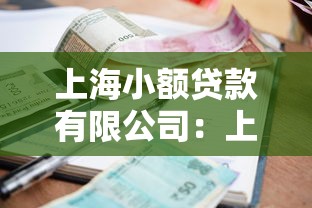 上海小额贷款有限公司：上海小贷公司如何申请贷款服务