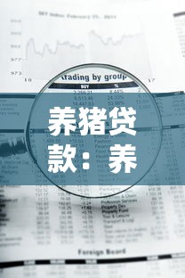 养猪贷款：养殖户如何申请资金扶持扩大规模