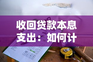 收回贷款本息支出：如何计算贷款回收成本