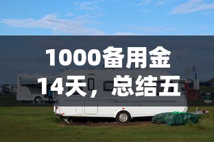 1000备用金14天，总结五个2025最新有车在平台好贷款