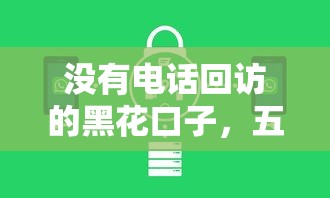 没有电话回访的黑花口子，五大2025最新比较安全的贷款平台