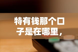 特有钱那个口子是在哪里，解答五家2025最新正规借钱平台