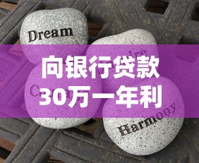 向银行贷款30万一年利息是多少：30万贷款年利息最低和最高多少