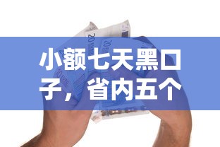 小额七天黑口子，省内五个2025最新17岁能贷款的平台
