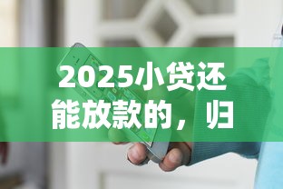 2025小贷还能放款的，归纳5个2025最新和安逸花一样的平台还