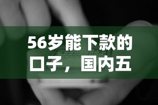 56岁能下款的口子，国内五大2025最新长期贷款平台