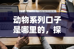 动物系列口子是哪里的，探讨五款2025最新先息后本正规贷款平台