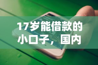 17岁能借款的小口子，国内五大2025最新简单的贷款平台