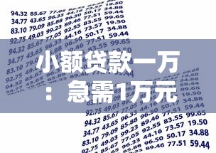 小额贷款一万：急需1万元如何快速借贷