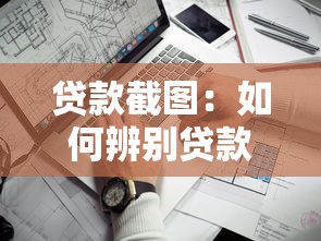 贷款截图：如何辨别贷款记录真伪