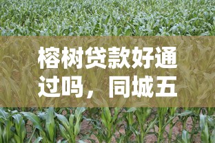 榕树贷款好通过吗，同城五个2025最新网上平台借钱靠谱