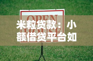米粒贷款：小额借贷平台如何选择更靠谱