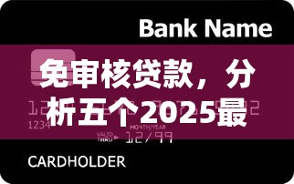 免审核贷款，分析五个2025最新黑户烂户能过的购物平台