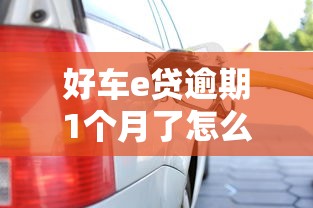 好车e贷逾期1个月了怎么办，盘点五个2025最新有那些贷款平台不需要看征信