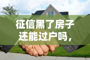 征信黑了房子还能过户吗，推荐五个2025最新62岁能借钱的平台