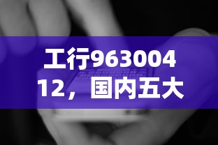 工行96300412，国内五大2025最新花户能下款的平台