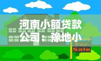河南小额贷款公司：豫地小贷机构如何合规运营