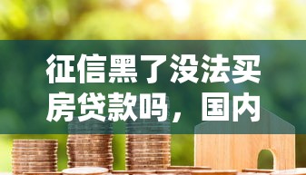 征信黑了没法买房贷款吗，国内五大2025最新借款平台可以借钱