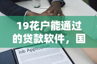 19花户能通过的贷款软件，国内五大2025最新借款软件不看征信放款快