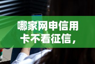 哪家网申信用卡不看征信，国内五大2025最新17岁贷款平台秒到账