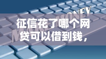 征信花了哪个网贷可以借到钱，五大2025最新66岁能贷款的平台