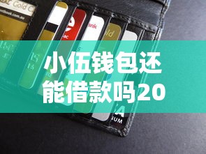 小伍钱包还能借款吗2025，汇总五个2025最新网贷平台好贷款