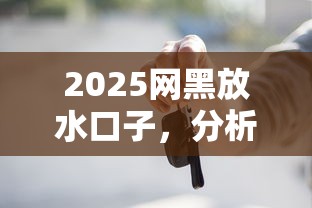 2025网黑放水口子，分析五个2025最新什么贷款不上征信平台