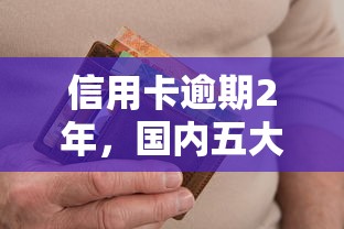 信用卡逾期2年，国内五大2025最新全网最全的黒口子平台