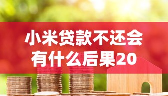 小米贷款不还会有什么后果2025，国内五大2025最新黑户呆账逾期能下的口子