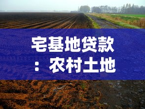 宅基地贷款：农村土地如何申请抵押贷款