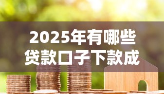 2025年有哪些贷款口子下款成功率较高，推荐五个2025最新长期贷款平台