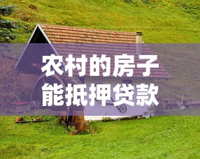 农村的房子能抵押贷款吗：农村自建房能否申请抵押贷款