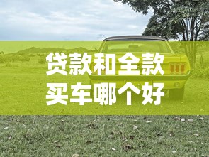 贷款和全款买车哪个好：购车选择：分期付款还是一次付清更划算