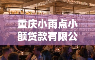 重庆小雨点小额贷款有限公司：这家贷款公司服务如何