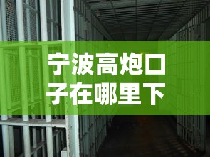 宁波高炮口子在哪里下载，国内五大2025最新最容易通过的网贷平台