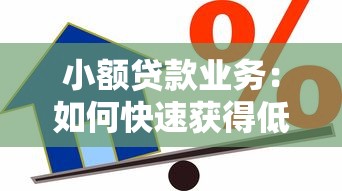 小额贷款业务：如何快速获得低息个人借款