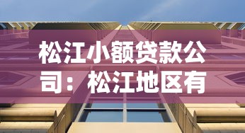 松江小额贷款公司：松江地区有哪些正规小额借贷机构